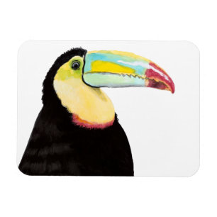 Tropisk Toucanfåglar Magnet