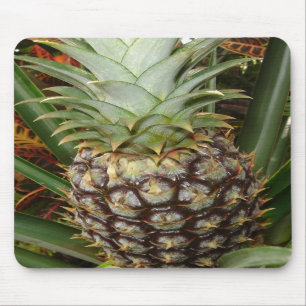 Tropisk trädgårdananas Mousepad Musmatta