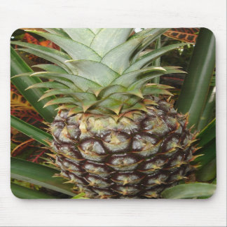 Tropisk trädgårdananas Mousepad Musmatta