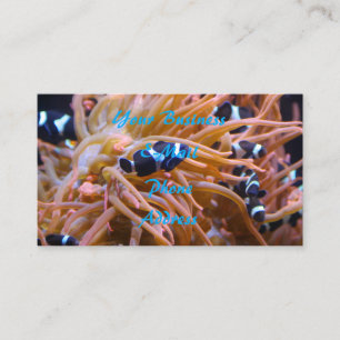 Tropisk Undersea Clownfish anemon Visitkort