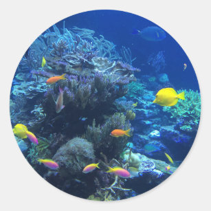 Tropisk undervattens- fisk runt klistermärke