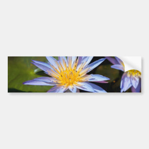 Tropisk vattenlilja blomster botanisk design bildekal