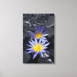 Tropisk vattenlilja blomster botanisk design canvastryck