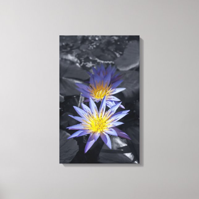 Tropisk vattenlilja blomster botanisk design canvastryck (Framsida)
