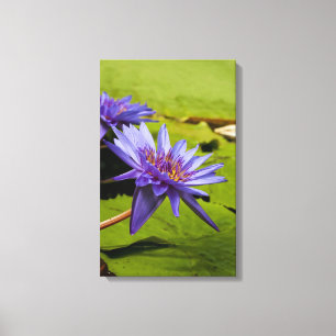 Tropisk vattenlilja blomster botanisk design canvastryck
