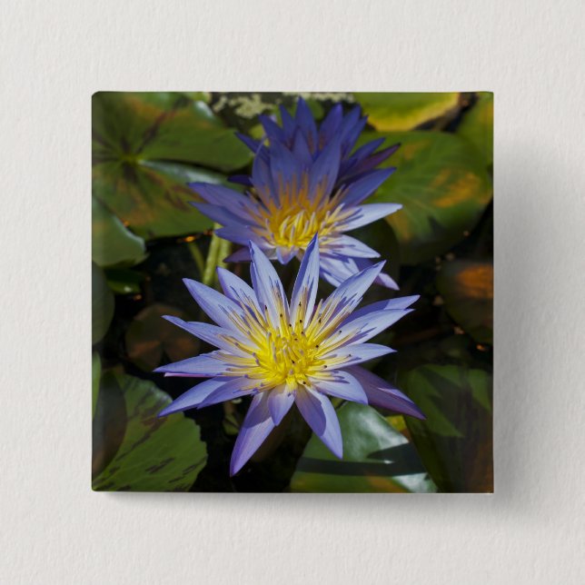 Tropisk vattenlilja blomster botanisk design knapp (Framsida)