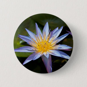 Tropisk vattenlilja blomster botanisk design knapp