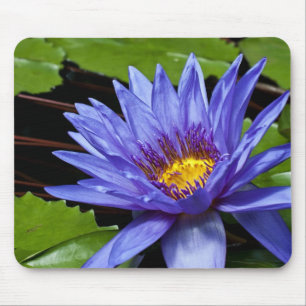 Tropisk vattenlilja blomster botanisk design musmatta