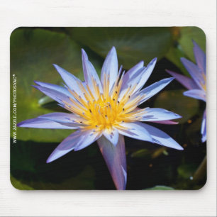 Tropisk vattenlilja blomster botanisk design musmatta