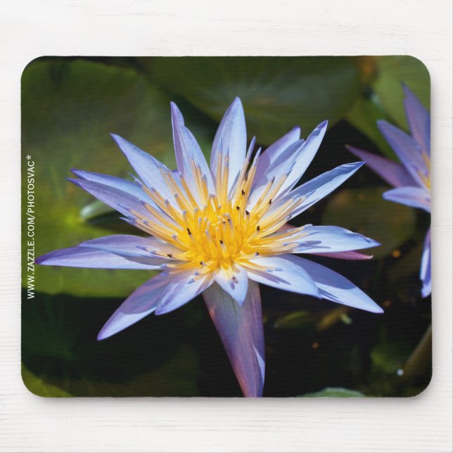Tropisk vattenlilja blomster botanisk design musmatta (Framsidan)