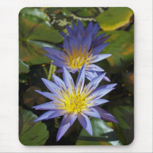 Tropisk vattenlilja blomster botanisk design musmatta