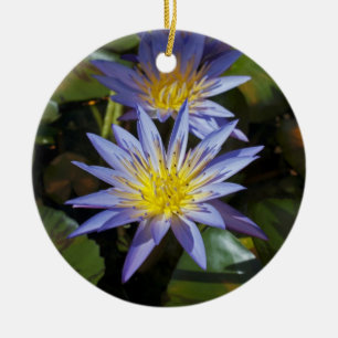 Tropisk vattenlilja Floral Botanisk Design Julgransprydnad Keramik