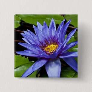 Tropisk vattenlilja Floral Botanisk Design Knapp