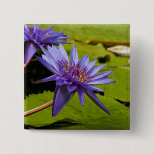 Tropisk vattenlilja Floral Botanisk Design Knapp