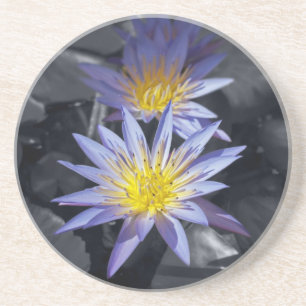 Tropisk vattenlilja Floral Botanisk Design Underlägg Sandsten