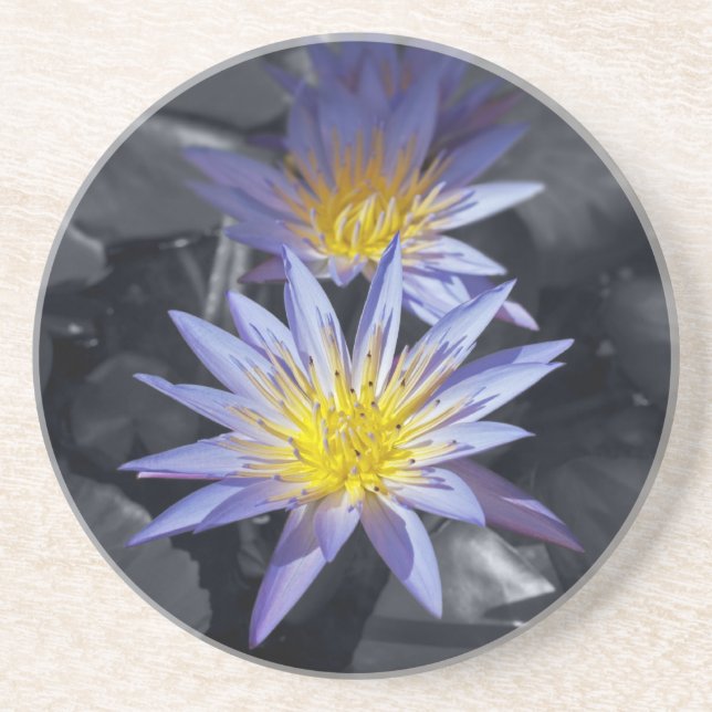 Tropisk vattenlilja Floral Botanisk Design Underlägg Sandsten (Framsidan)