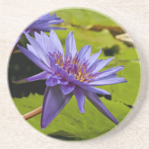 Tropisk vattenlilja Floral Botanisk Design Underlägg Sandsten