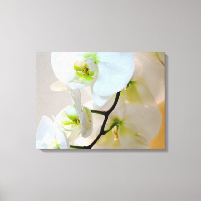 Tropisk vit Orchids nummer två omslagen Canvas (Framsida)