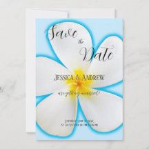 Tropisk, vit Plumeria på blå, blomster-, bröllop