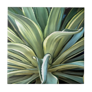 Tropiska Agave Realism Art Kakelplatta