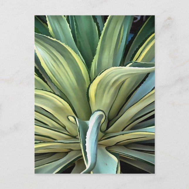 Tropiska Agave Realism Art Vykort (Framsida)