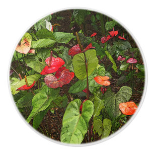 ’TROPISKA ANTHURIUMPLANER’ CERAMIC DOOR/PULL CERA KNOPP