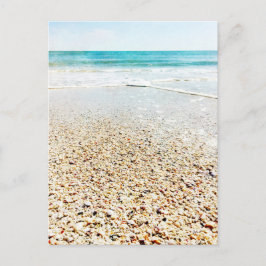 Tropiska Beach Sand Ocean Vågar Snäckor Florida Vykort