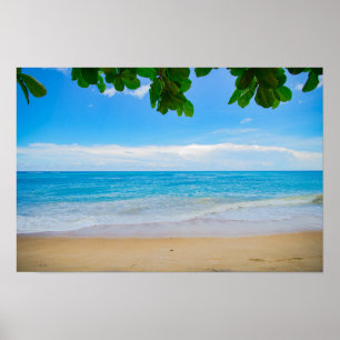 Tropiska Beach Sol Sand and Sea Poster