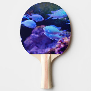 Tropiska blåa fiskar pingisracket