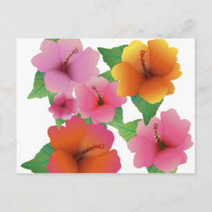 Tropiska blomexotiska hibiscus vykort