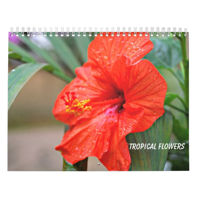 Tropiska blommor kalender (Omslag)