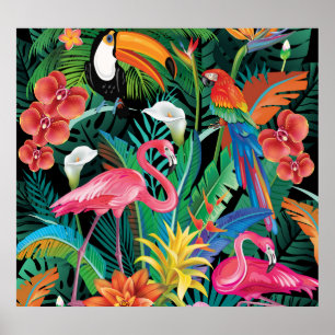 Tropiska blommor och fåglar. poster