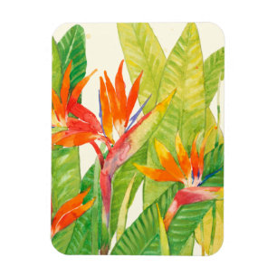 Tropiska blommor Paradisens födelse Magnet