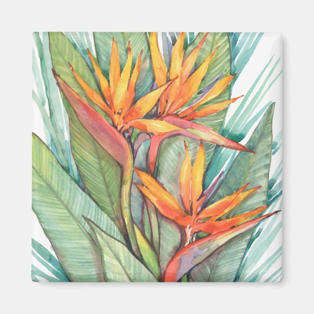 Tropiska botaniska paradiset II Magnet (Framsidan)
