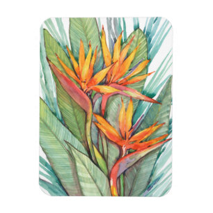 Tropiska botaniska paradiset II Magnet
