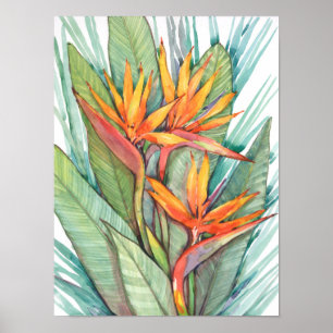 Tropiska botaniska paradiset II Poster