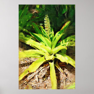 Tropiska Bromeliad - gå i trädgården Poster