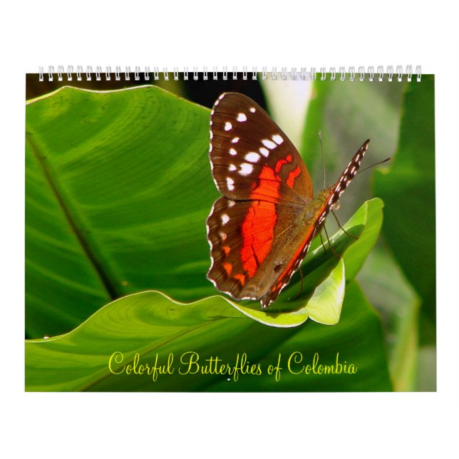 Tropiska Butteflies Kalender (Omslag)