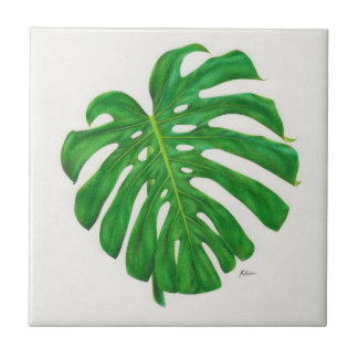 Tropiska det keramiska Monstera löv belägger med Kakelplatta