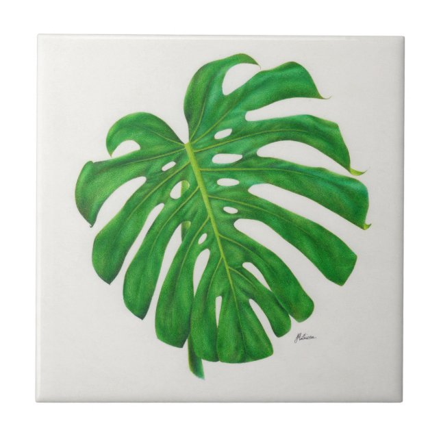 Tropiska det keramiska Monstera löv belägger med Kakelplatta (Framsidan)
