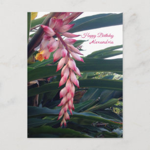 Tropiska Eleganta Rosa Blommor Födelsedag Vykort