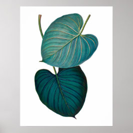 Tropiska exotiska filodendron löv poster