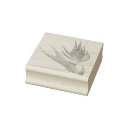 Tropiska fåglar av vattenfärg från Paradise Stämpel