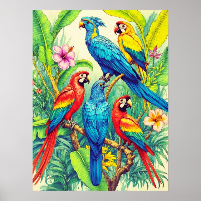 Tropiska Fåglar Botanisk Illustration Poster (Framsidan)