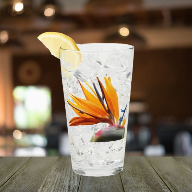 Tropiska fåglar i Blommigten vid Paradise Plant Glaskopp (In Situ)