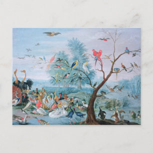 Tropiska fåglar i ett landskap vykort