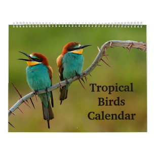 Tropiska fåglar kalender