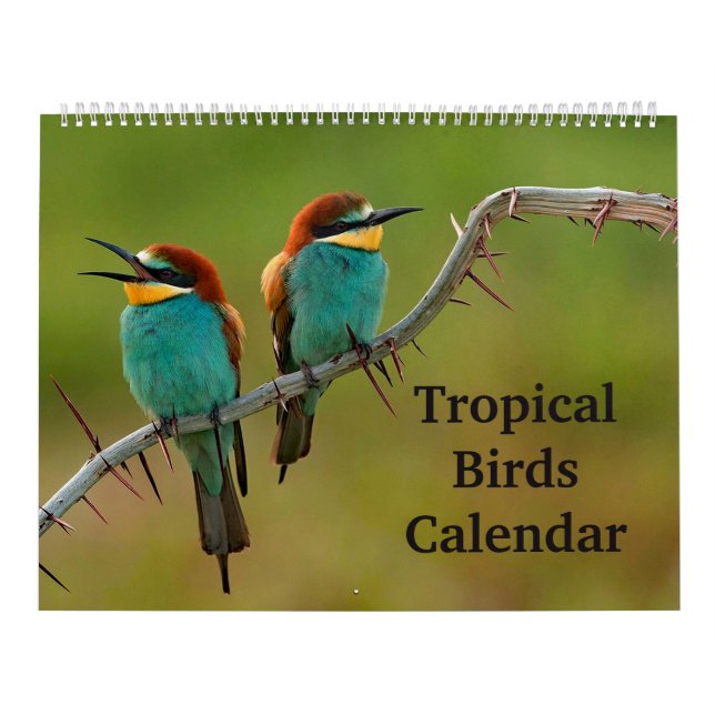 Tropiska fåglar kalender (Omslag)