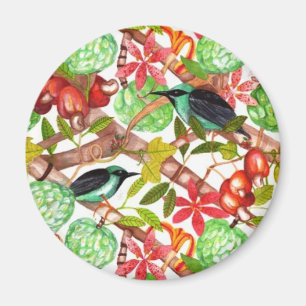 Tropiska fåglar och fruktmagnet magnet