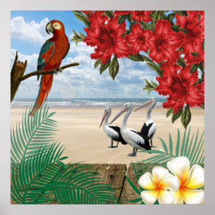 Tropiska fåglar på stranden poster